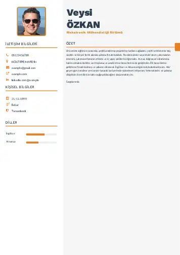 Mekatronik Mühendisliği Cv Örnekleri cv indir